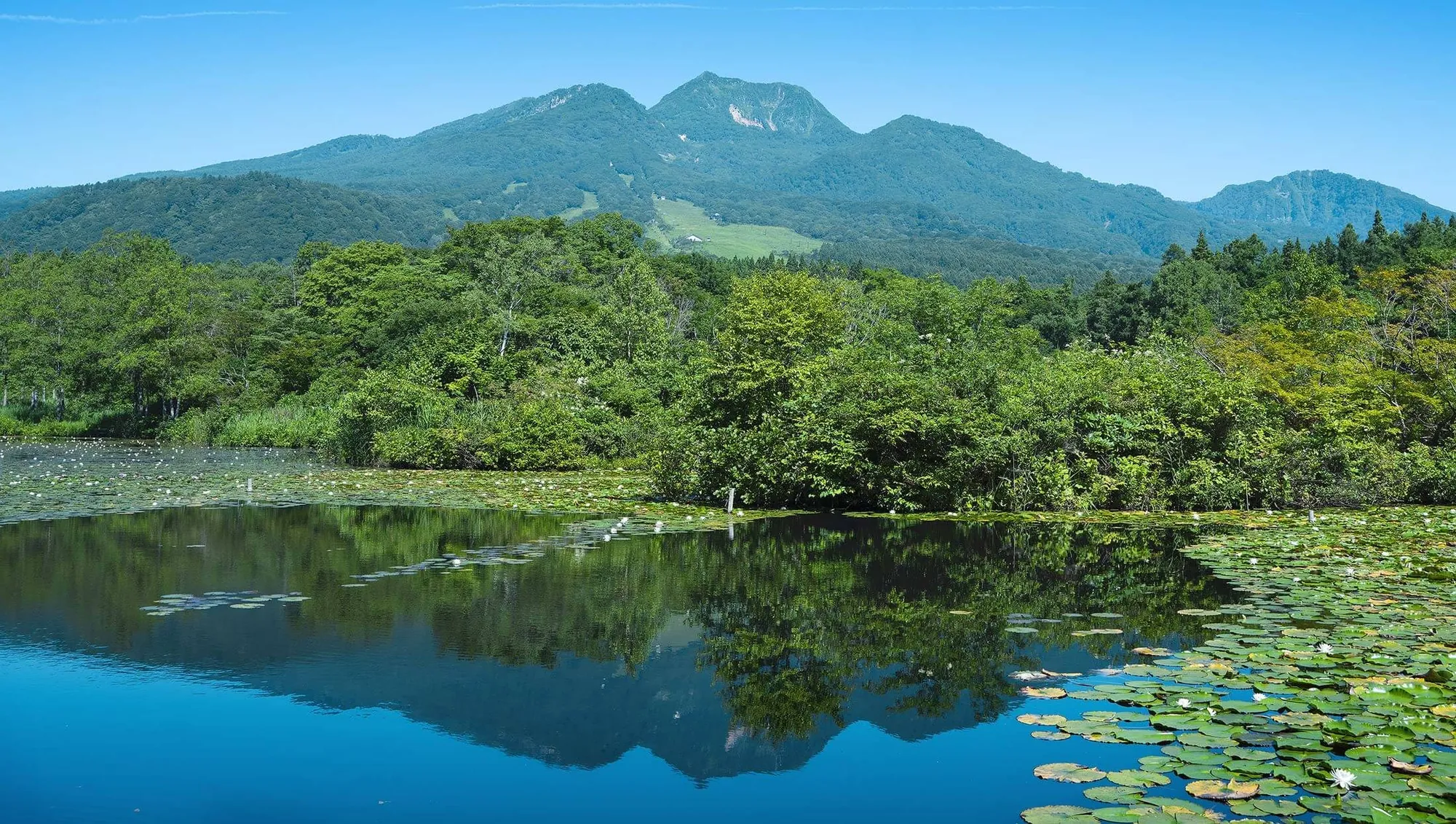 夏の妙高山と、山を映すいもり池